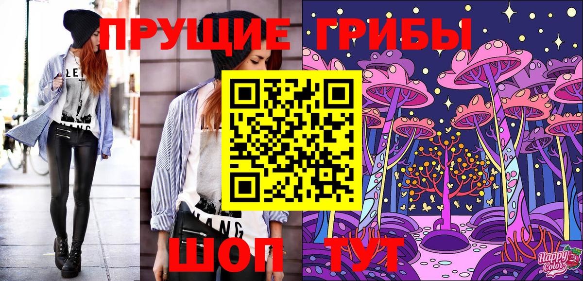 Михайловск  Псилоцибиновые грибы Psilocybine cubensis  Вход с VPN 